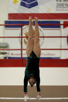 Uneven Parallel Bars