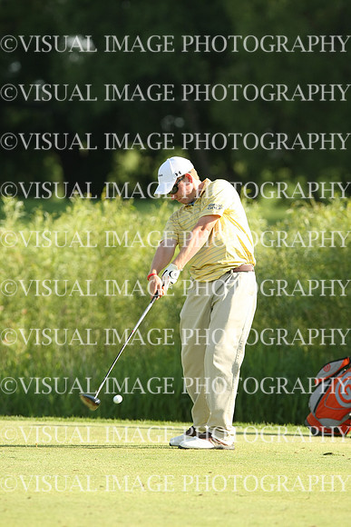wigf_10_t22013