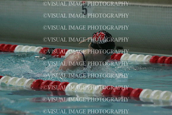 wiswg09_1breast_2028