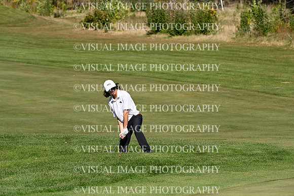 ILGF_24_T101031