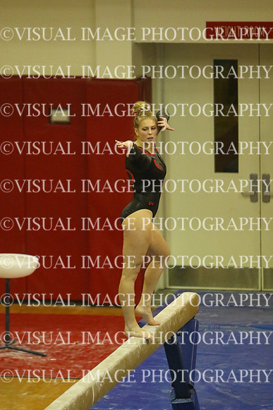 ILGYMG_16_BEAM_P2359