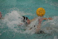 McAuley vs Stevenson