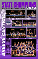 Breese Central_CH_14