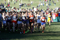 ILXC_13_30019