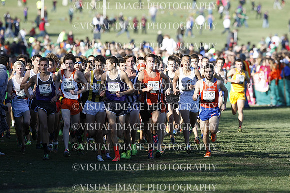 ILXC_13_30019