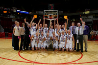 Breese Central vs Rochester