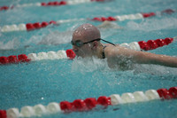 wisw09_2imed_2006
