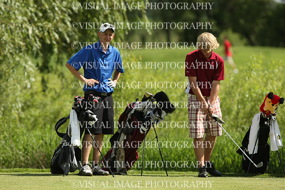 wigf_10_i2006