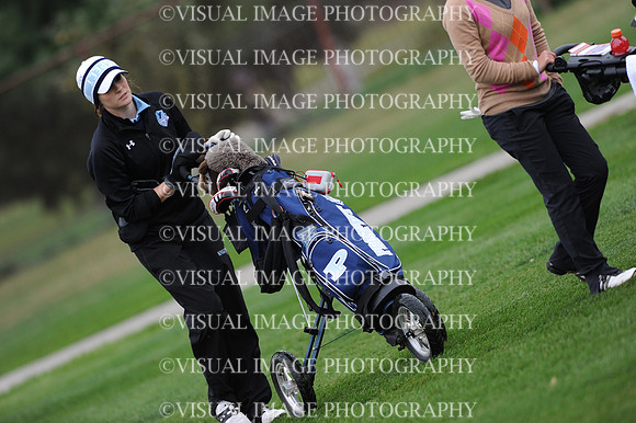 ILGFG_13_T209032