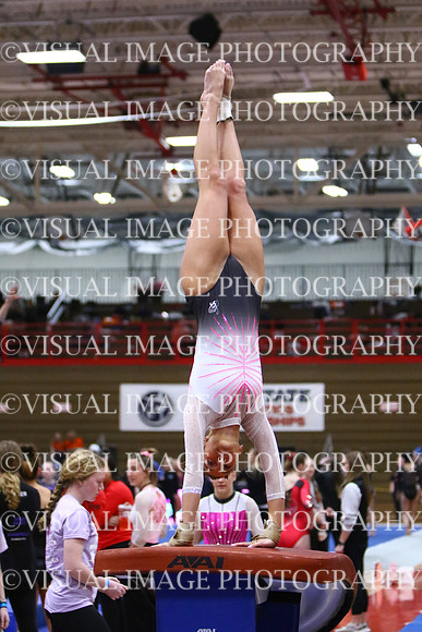 WIGYMG25_VAULT_I018