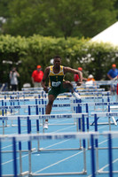 110M HURDLES
