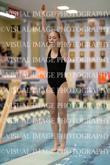 ILSWG13_DIVE_002