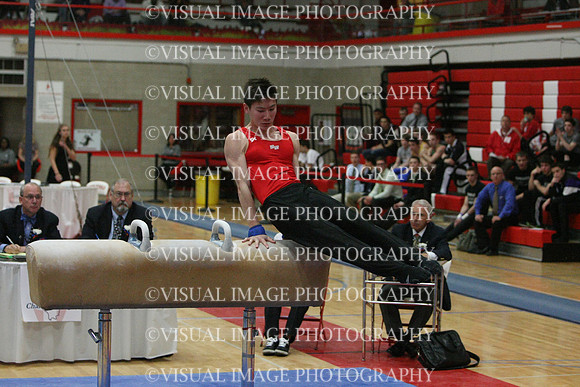 ILGYM14_PHORSE_I083