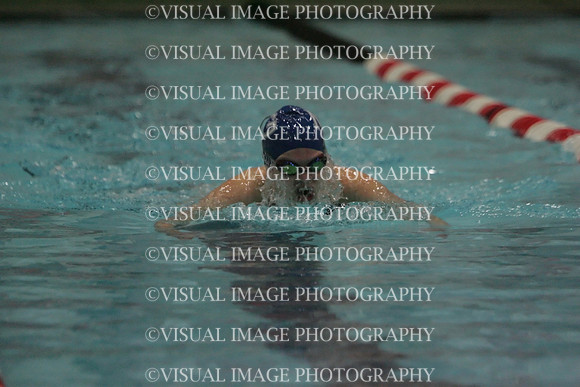 wiswg09_1breast_2036