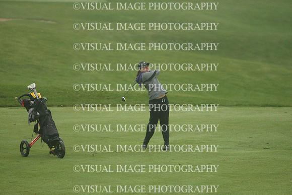 WIGFG_13_IND2006
