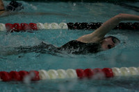 wiswg09_5free_2013