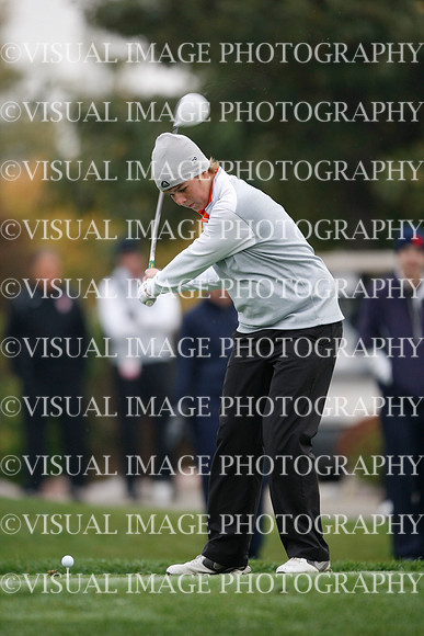ILGF_13_T312005