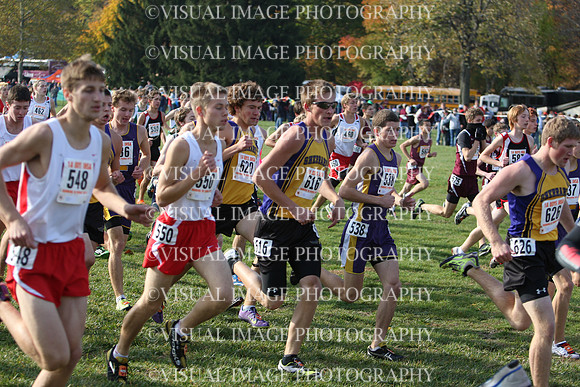 ILXC_11_10016