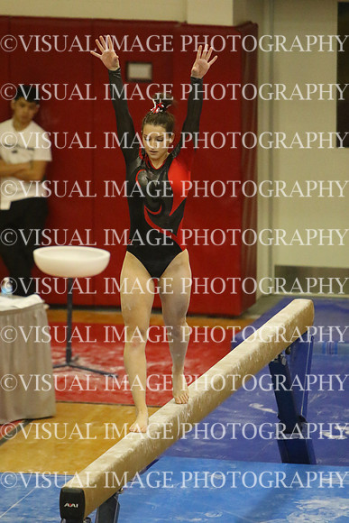 ILGYMG_16_BEAM_P2297
