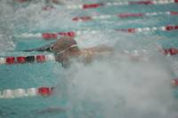 wisw09_2imed_2008