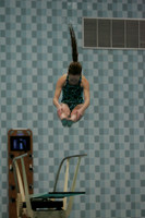 wiswg09_dive_2014