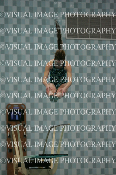 wiswg09_dive_2014