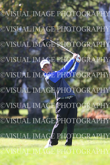 ILGF16_IND_20029