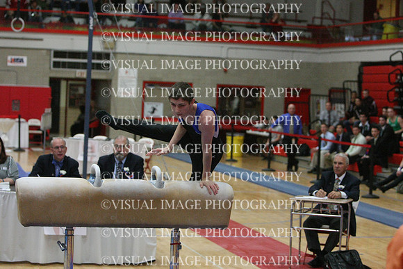 ILGYM14_PHORSE_I028