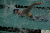 wiswg09_2free_2011