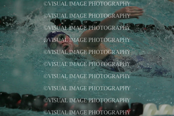 wiswg09_2free_2011