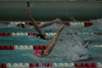 wiswg09_2imed_2008