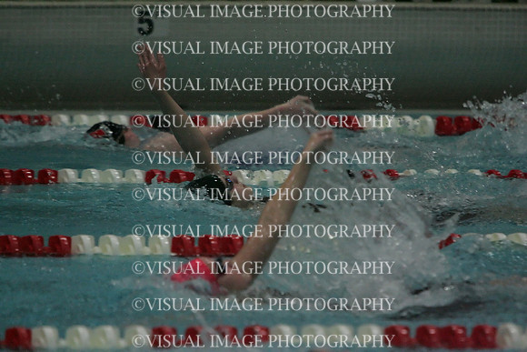 wiswg09_2imed_2008