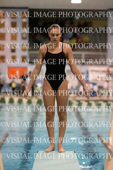 ILSWG13_DIVE_018