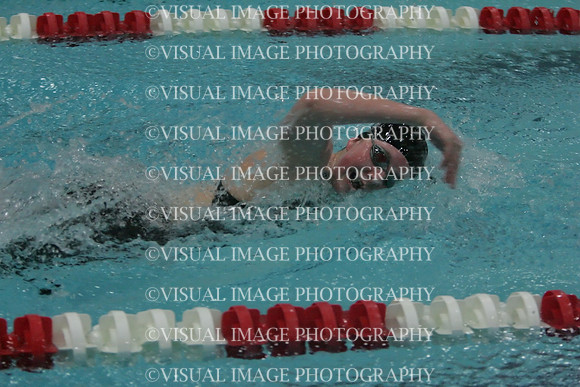 wiswg09_2free_1013