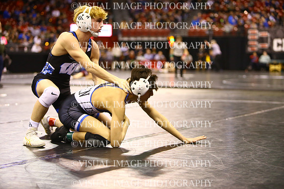 WIIWR25_113_C2013