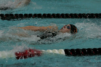 wiswg09_2med_2008