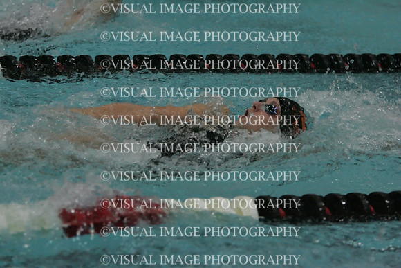 wiswg09_2med_2008