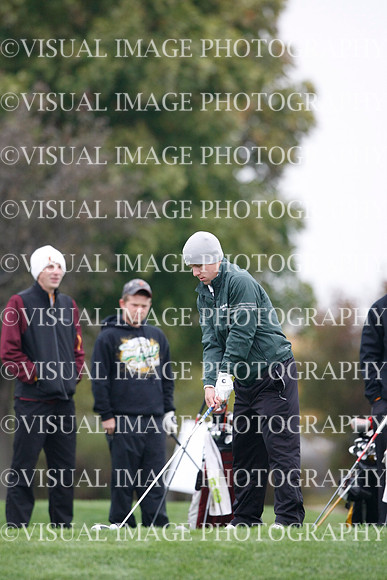 ILGF_13_IND30001