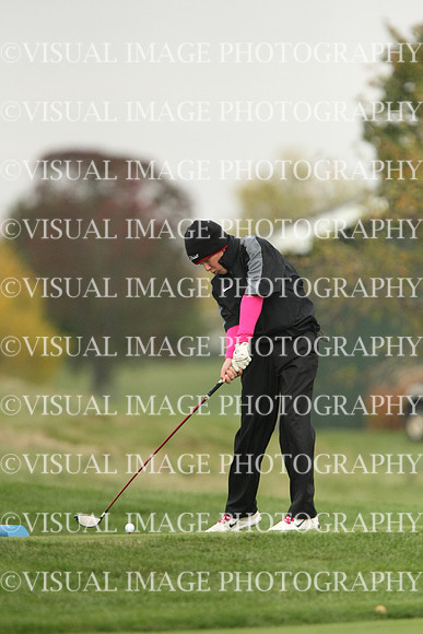 ILGF_13_T107001