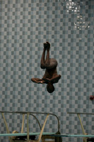 wisw10_dive_1007