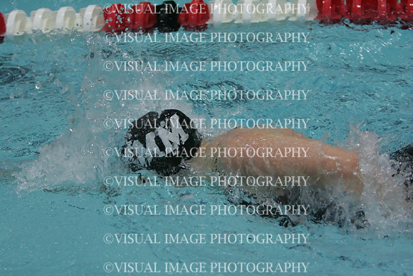 wiswg09_2free_1029
