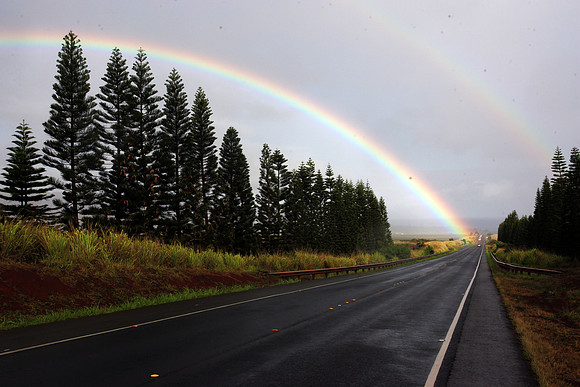 HAWAII_OAHU_124
