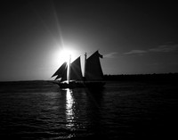 IMG_0244bw