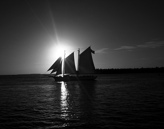 IMG_0244bw