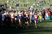 ILXC_13_30018