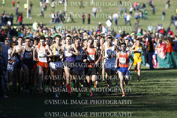 ILXC_13_30018