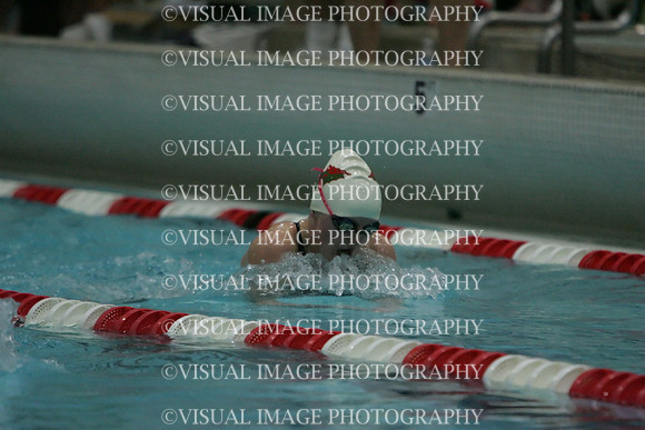 wiswg09_1breast_2008