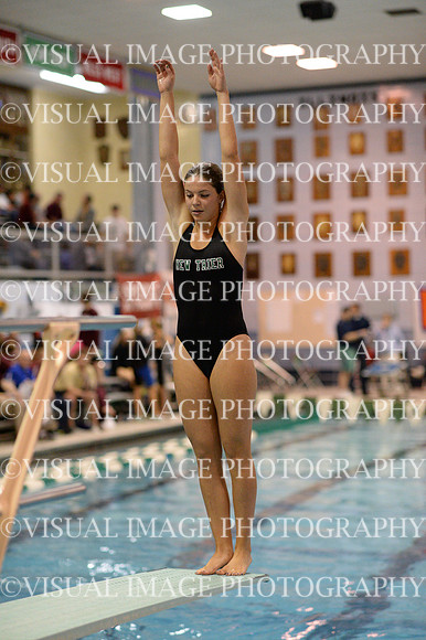 ILSWG13_DIVE_007