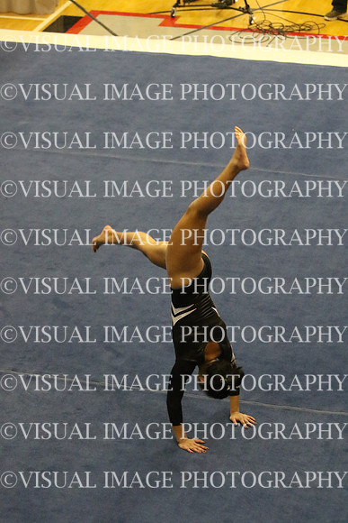 ILGYMG17_FLOOR_P0043
