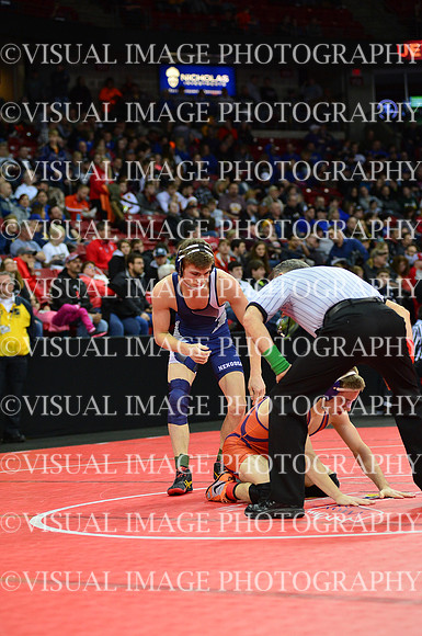 WIIWR17_132_C2013